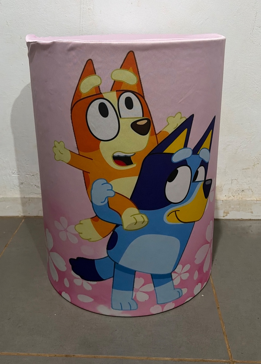 Bluey E Pingo Capa Cilindro M - DIVINA BELLAS FESTAS PEGUE E MONTE