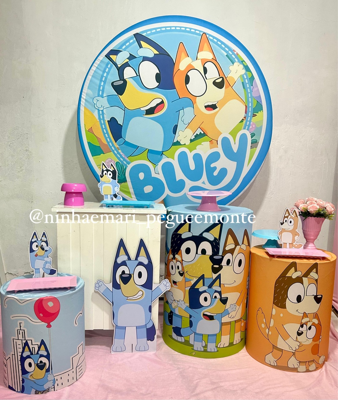 Kit Ouro Bluey Rosa  - N&M-pegue e monte