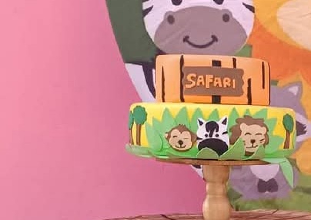 Bolofake Safari  - N&M-pegue e monte