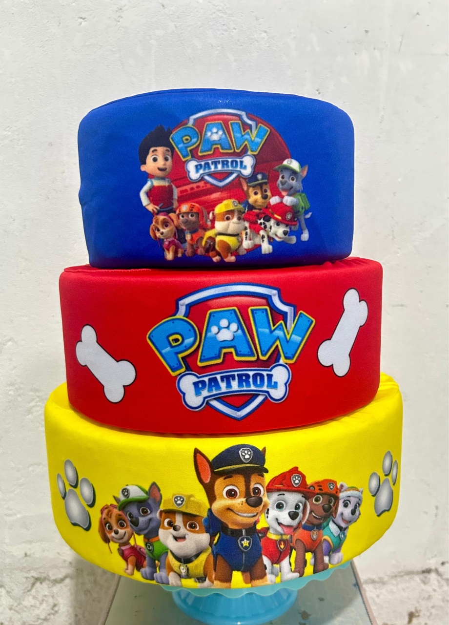 Bolofake Patrulha Canina 1 - N&M-pegue e monte