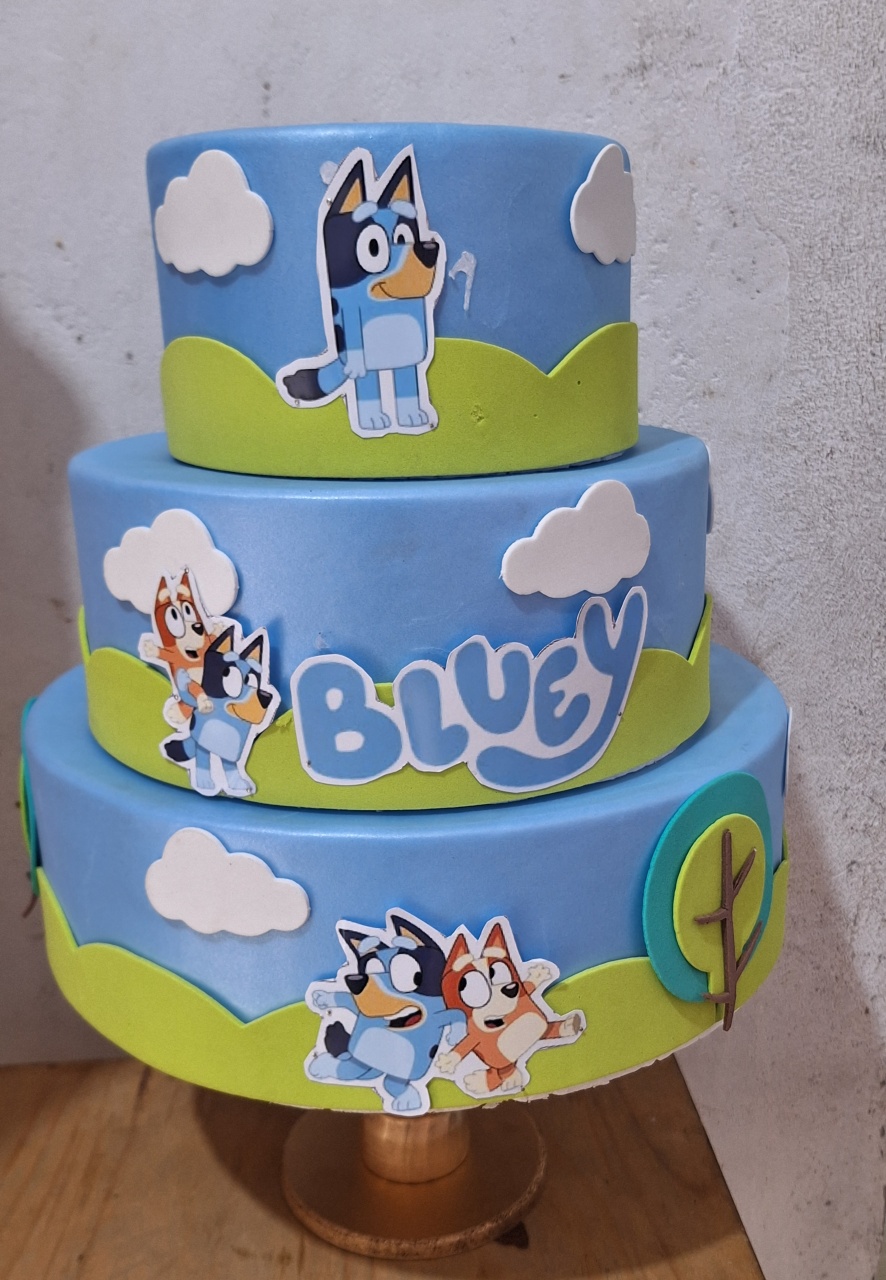 Bolofake Bluey - N&M-pegue e monte