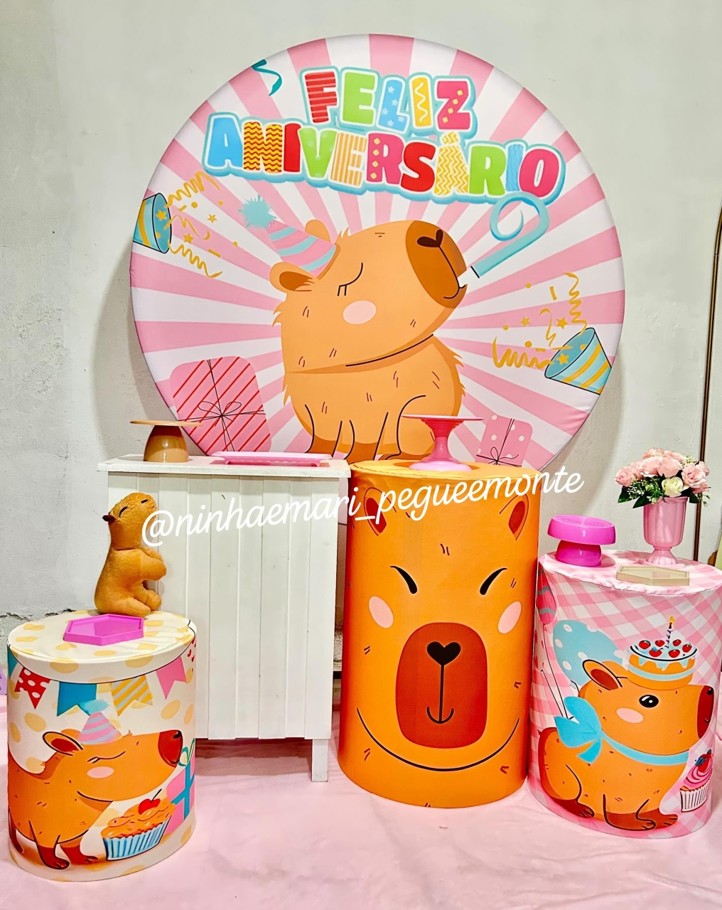 Kit Ouro Capivara 1 - N&M-pegue e monte