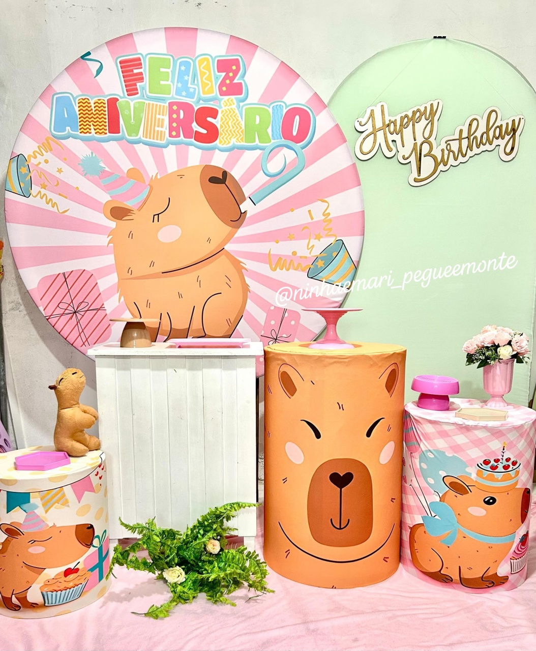 Kit Diamante Capivara 1 - N&M-pegue e monte