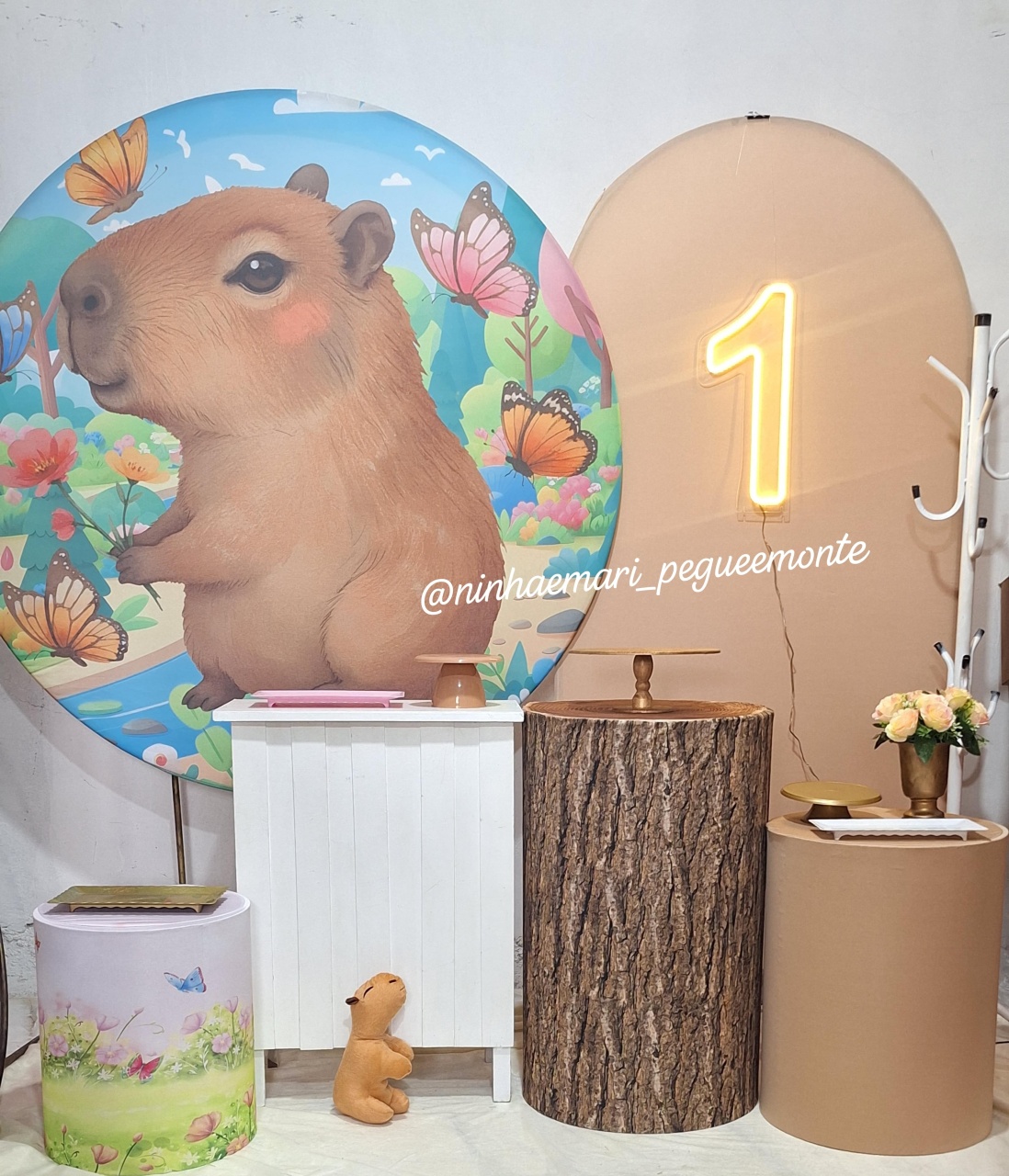 Kit Diamante Capivara  - N&M-pegue e monte