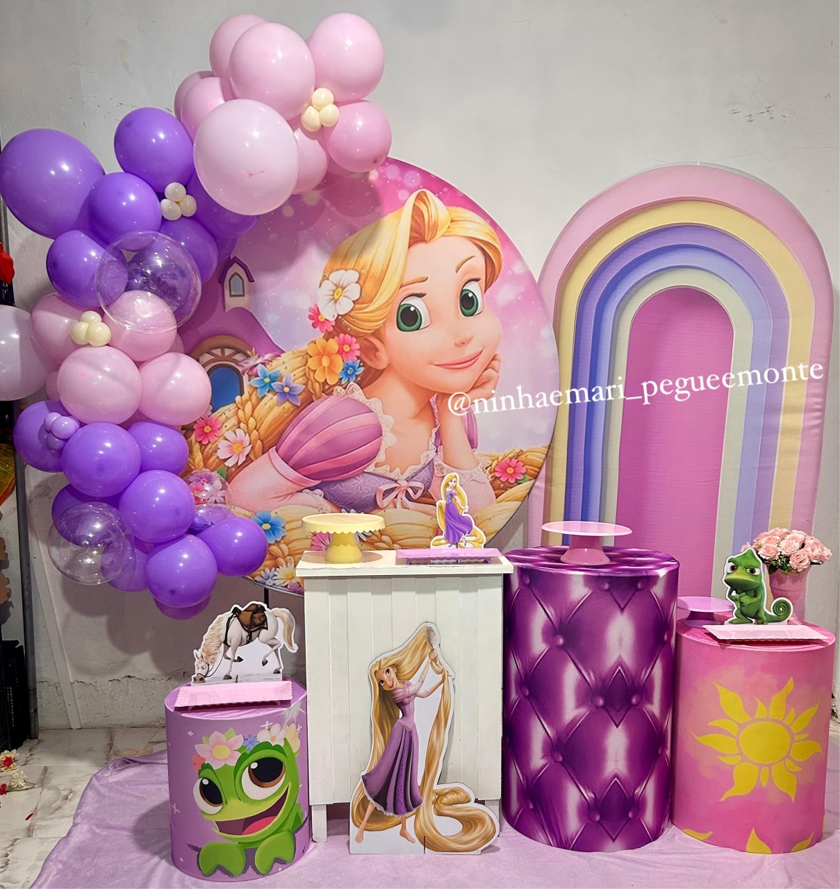 Kit Diamante Rapunzel 1 - N&M-pegue e monte