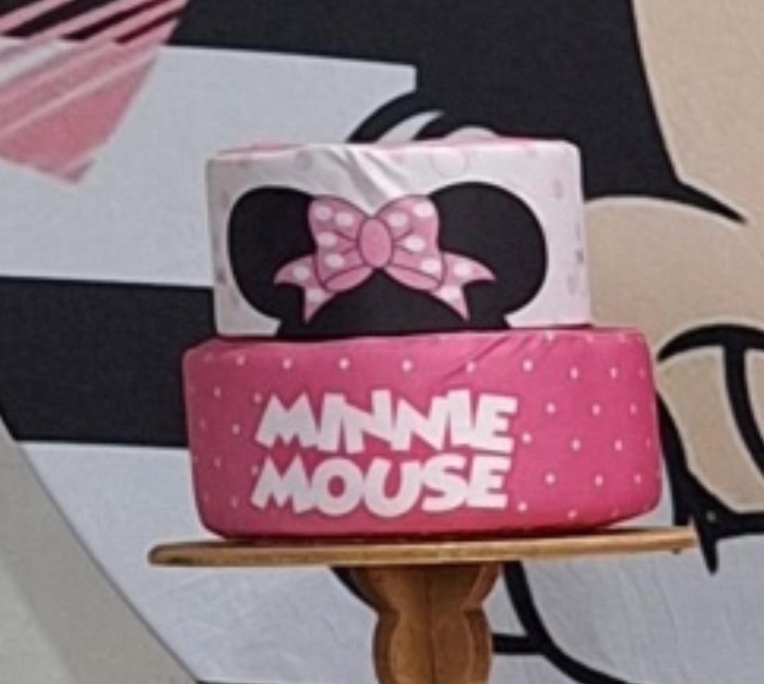 Bolofake Minnie - N&M-pegue e monte
