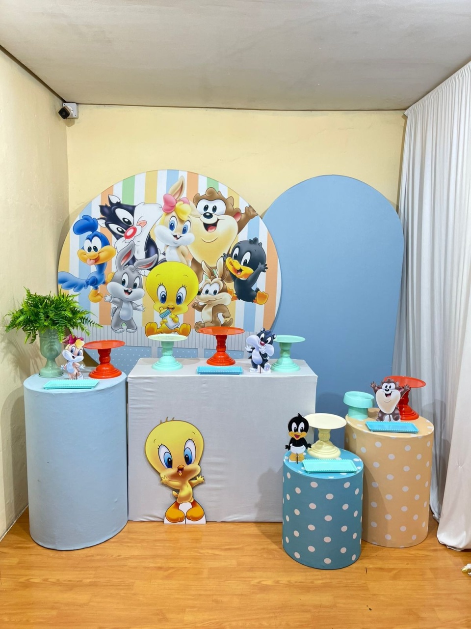 Baby Looney Tunes Menino - Festa Completa - Kit Festão - PEGUE E MONTE CATALAGO VEM FESTEJAR PALMAS