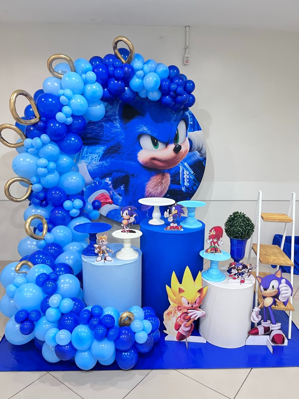 Sonic - Completa - Kit Festejar - Com Balões - PEGUE E MONTE CATALAGO VEM FESTEJAR PALMAS