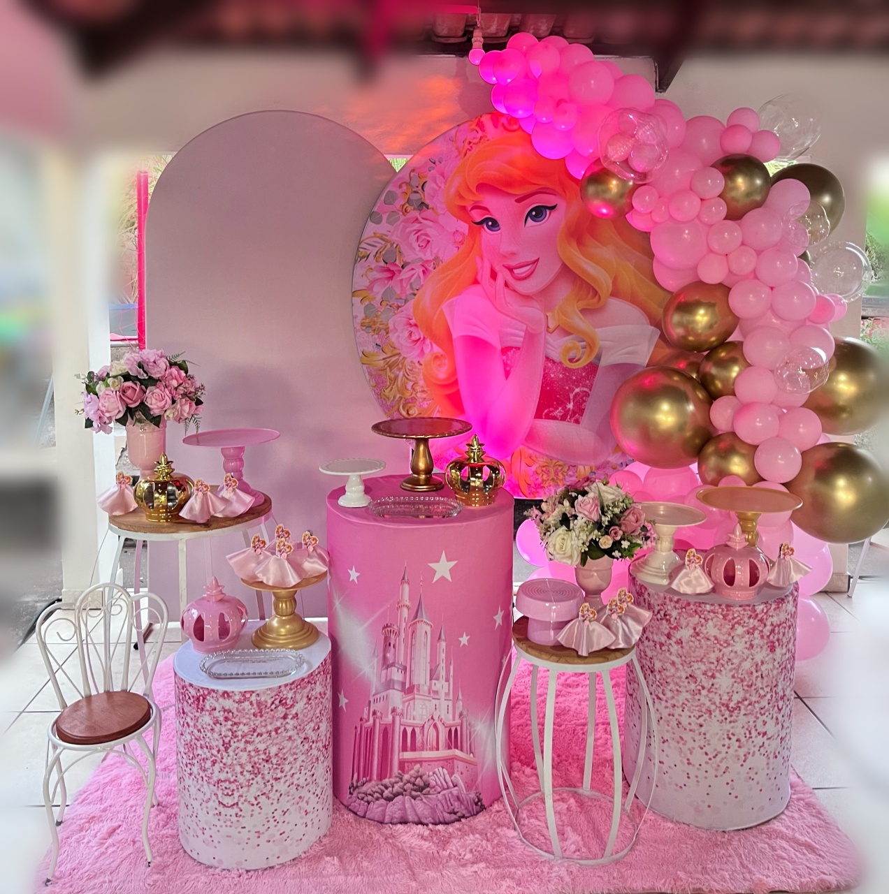 Princesa Bela Adormecida - Aurora - Festa Completa - Kit Festão (Não Inclui Balões) - PEGUE E MONTE CATALAGO VEM FESTEJAR PALMAS