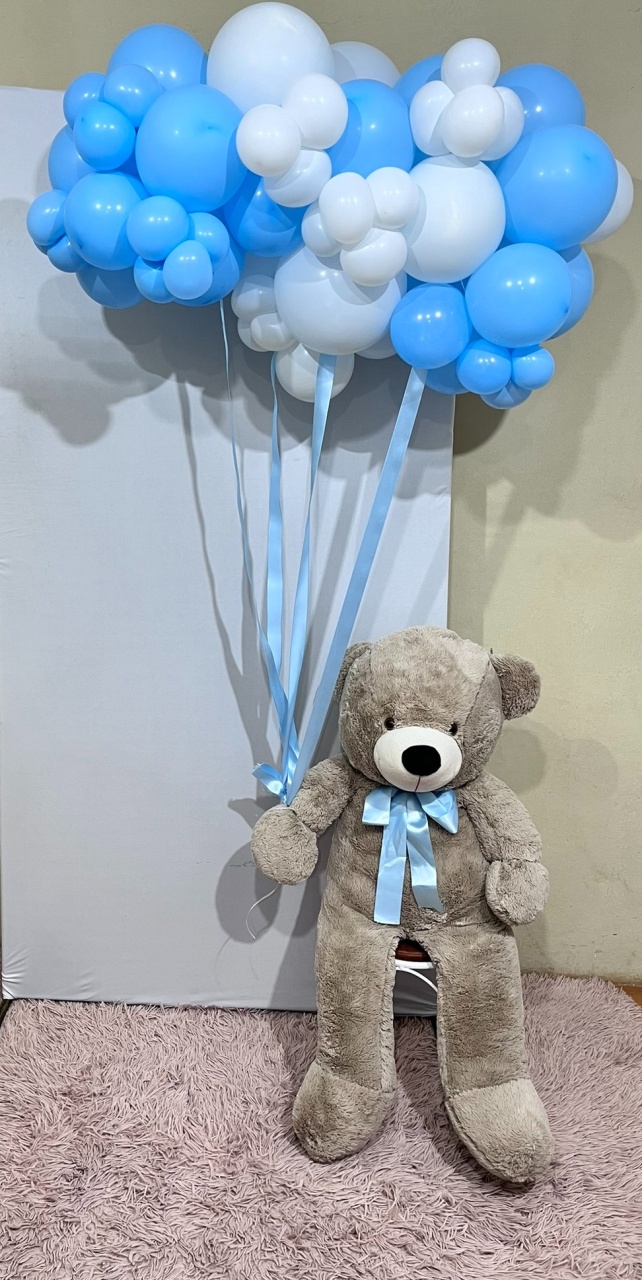 Urso G  - PEGUE E MONTE CATALAGO VEM FESTEJAR PALMAS