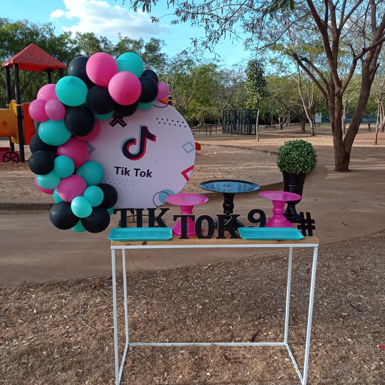 Tik Tok - Mini Festa - Kit Comemore - PEGUE E MONTE CATALAGO VEM FESTEJAR PALMAS