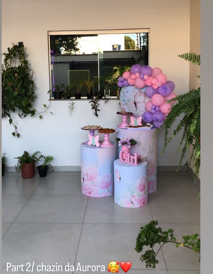  Jardim das Borboletas  - Mini Festa - Kit Festão  - PEGUE E MONTE CATALAGO VEM FESTEJAR PALMAS