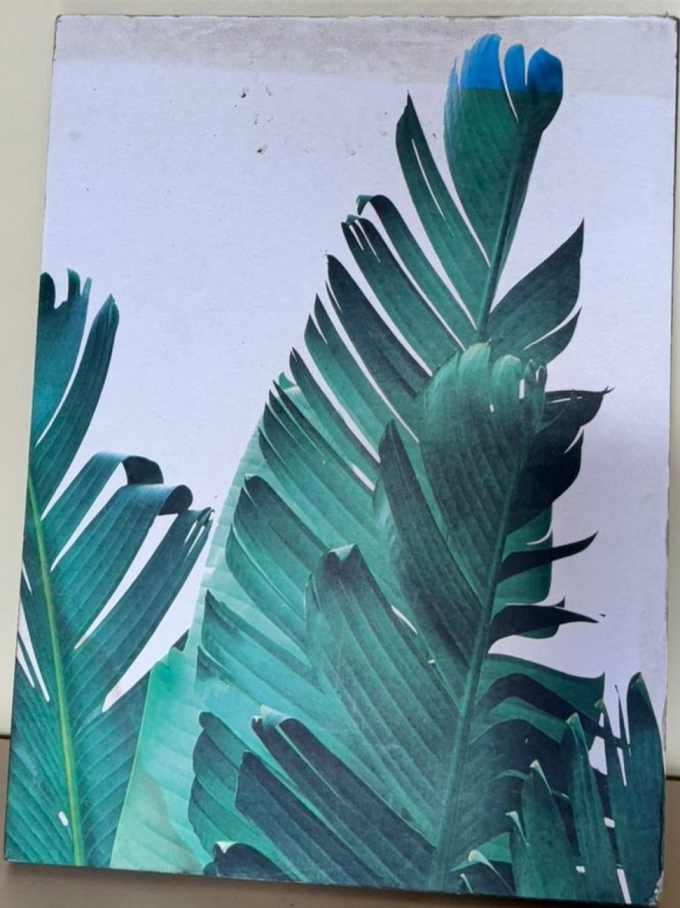 Quadro Decorativo Folhas (Locação) - Beca Decorações