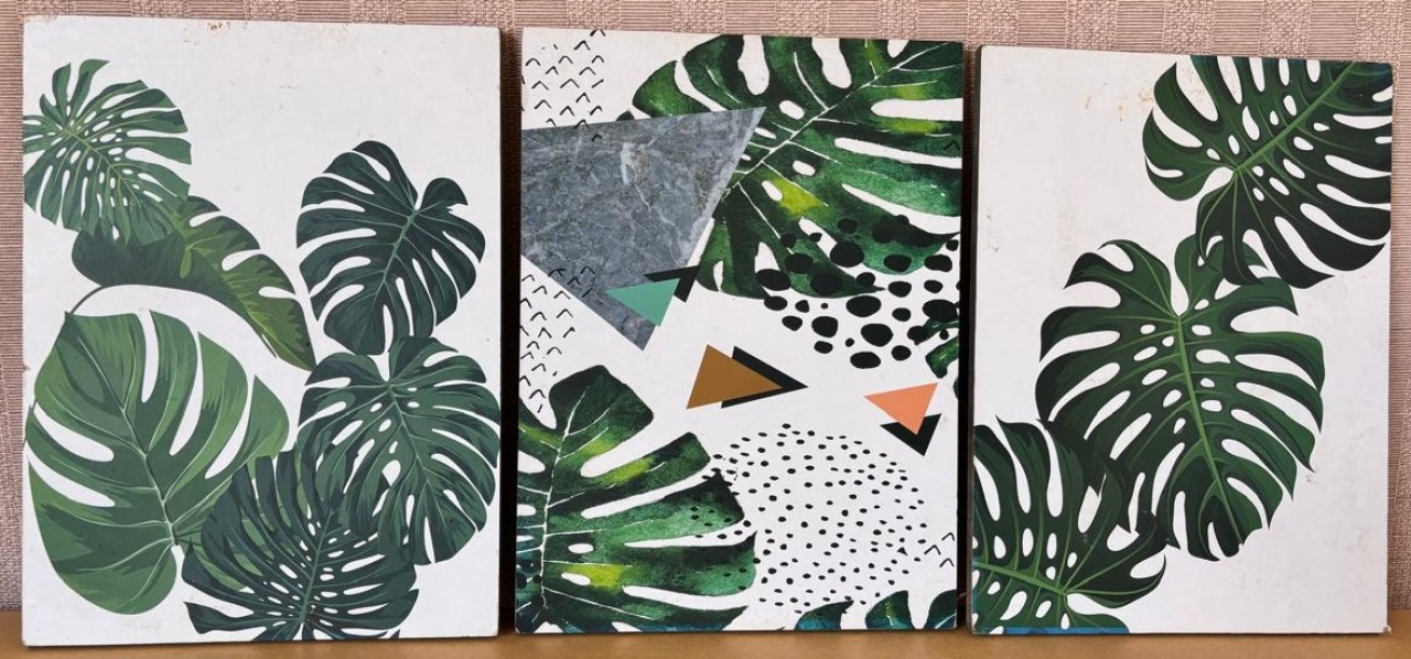 Quadros Costela de Adão (Locação) - Beca Decorações