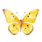 Borboleta 7 - imagem 1