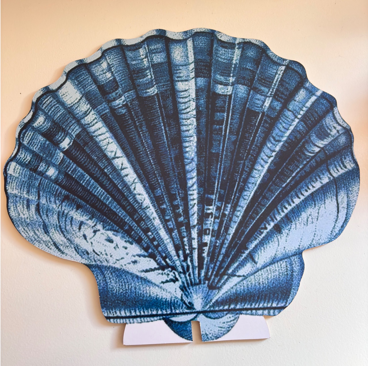 Concha Azul - Beca Decorações