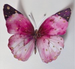 Borboleta 3 - imagem 2
