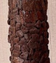 Vaso Tronco - Beca Decorações