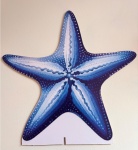 Estrela Do Mar Azul - imagem 3