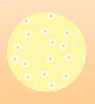 Mini Painel Margaridas - Beca Decorações