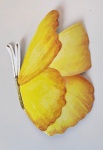 Borboleta 8 - imagem 2