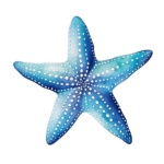 Estrela Do Mar Azul - imagem 1