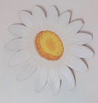 Margarida  - imagem 2