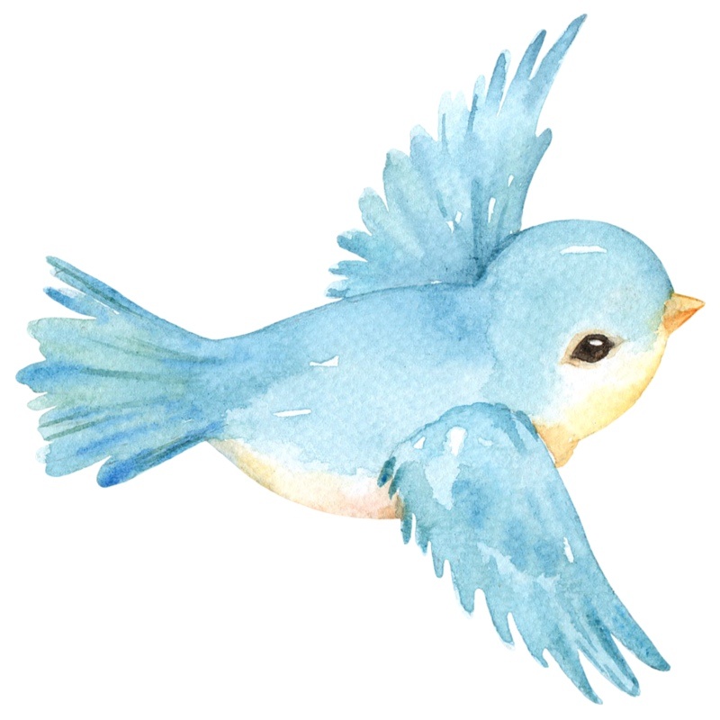 Pássaro Azul 1 - Beca Decorações