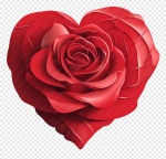 Rosa Coração  - imagem 1