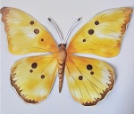 Borboleta 7 - imagem 2