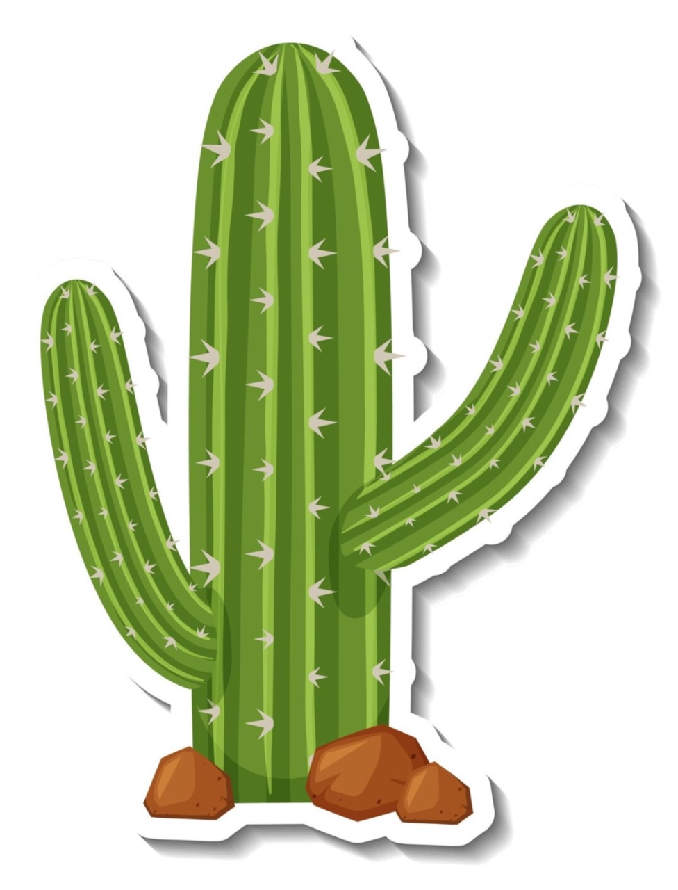 Cacto - Beca Decorações