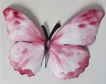 Borboleta 5 - imagem 2