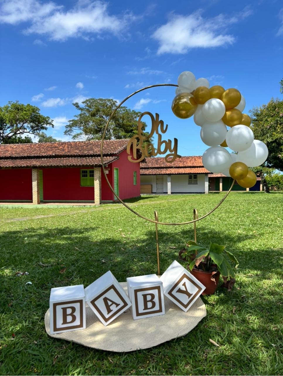 Cenário de Fotos Oh Baby - Beca Decorações