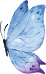 Borboleta 4 - imagem 1