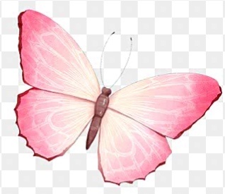 Borboleta 2 - Beca Decorações
