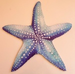 Estrela Do Mar Azul - imagem 2