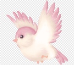 Pássaro Rosa - imagem 1