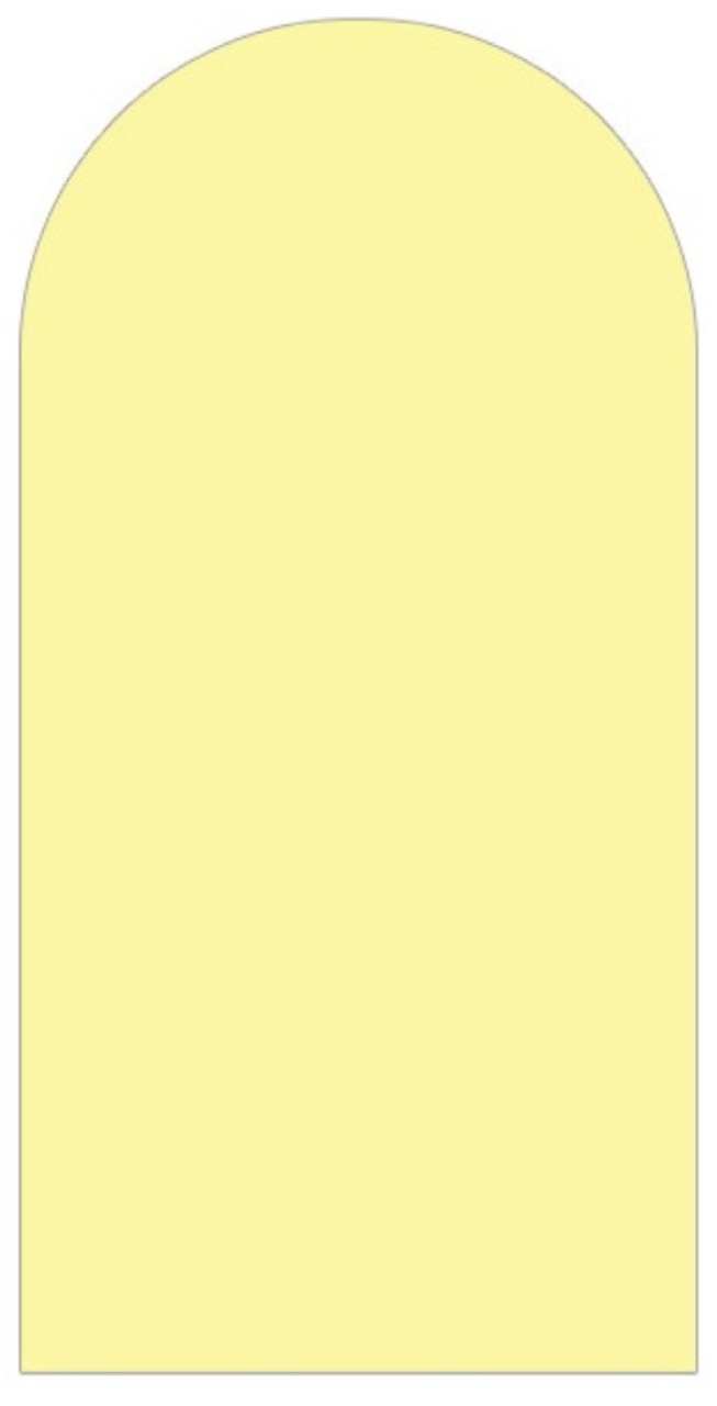 Painel Lateral Amarelo  - Beca Decorações