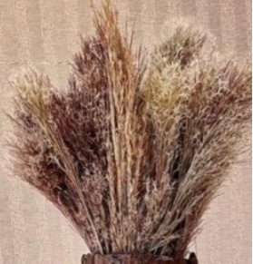 Capim Seco - Beca Decorações