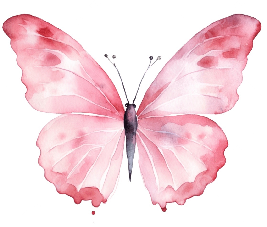 Borboleta 5 - Beca Decorações