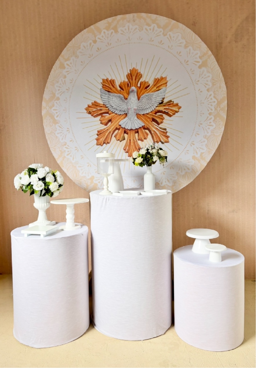 Batizado Pomba (Kit Prata) - Beca Decorações