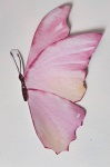 Borboleta 1 - imagem 2