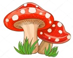 Cogumelo Duplo - imagem 1