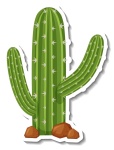 Cacto - imagem 1