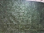 Muro Inglês Folhas Artificiais 5 Mt (Locação) - imagem 1
