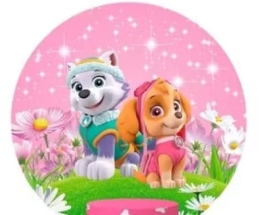 Capa Para Painel Redondo Patrulha Canina / Sky E Everest 1,5Mt - Bonequinha Preta Festas