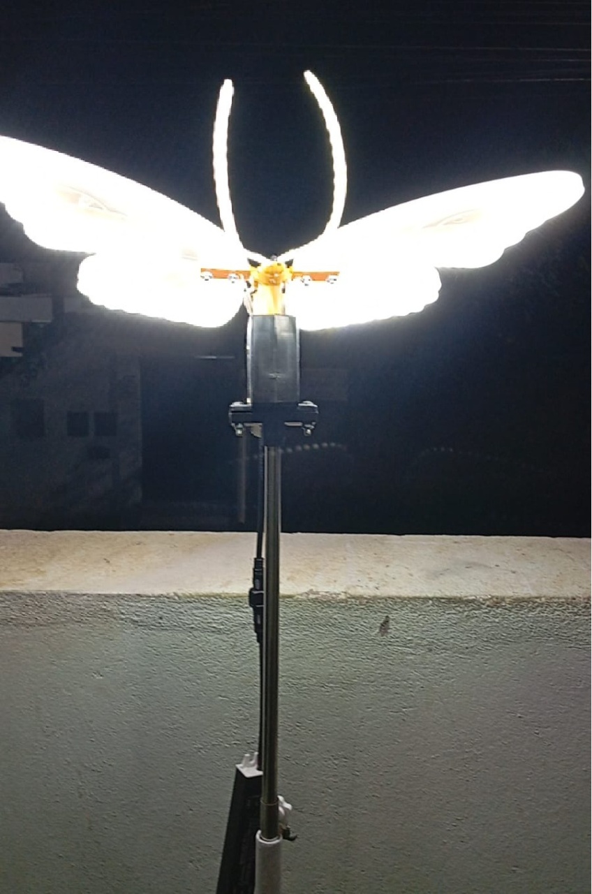 Borboleta de Led Com Movimento - 40Cm - Bonequinha Preta Festas