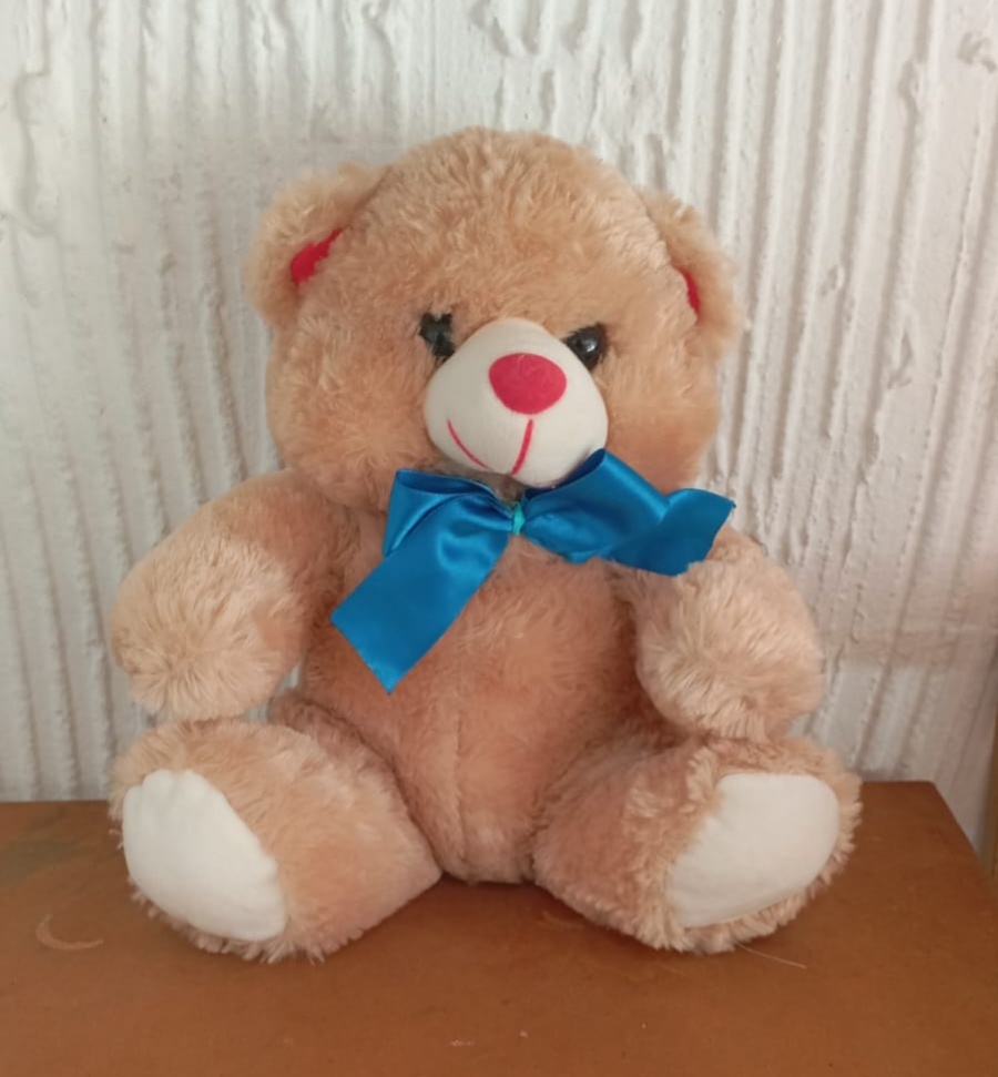 Urso de Pelúcia Marrom Médio - Bonequinha Preta Festas