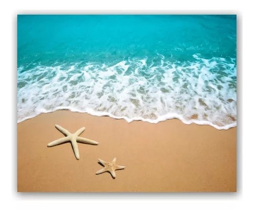 Tapete de Lona - Fundo Do Mar / Moana / Bob Esponja - Bonequinha Preta Festas