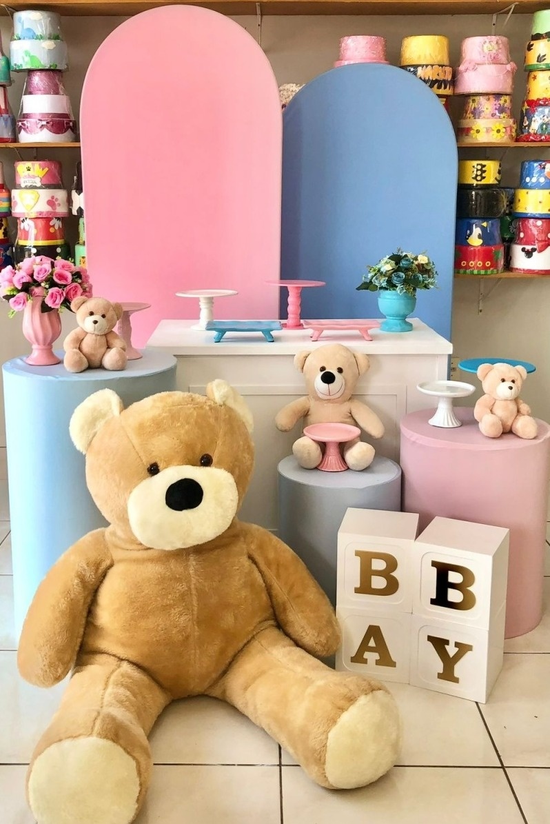 Romano Azul E Rosa 2 - Revelação Baby Master - Catálogo Tay pegue e monte